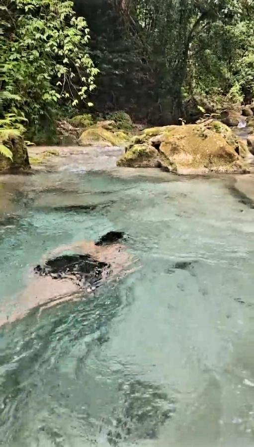 Villa La Casita De Mary Barahona Esterno foto